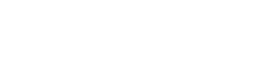 Dynamic Studio